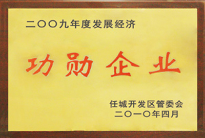 被評為2009年度發(fā)展經(jīng)濟功勛企業(yè)