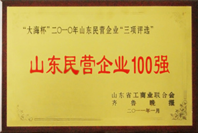 被評為“山東民營企業(yè)100強”