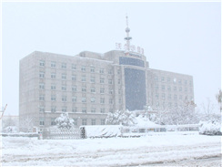 瑞雪兆豐年，踏雪沃爾華